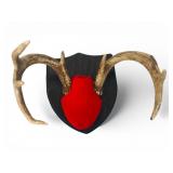 Mounted Antlers On Wood Plaque