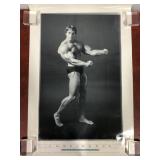 Confidence Poster By Butler Featuring Schwarzenegg