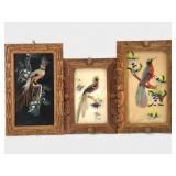 3 Vtg Mexican Feather Art In Frames