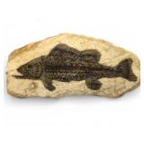 Signed Leonardo Fish Fossil Sculpture