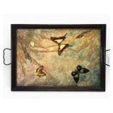 Vintage Wood Serving Tray W/ Preserved Butterflies
