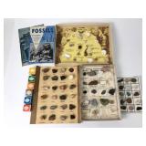 Vintage Rock, Mineral, Gemstone & Fossil Samples