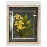 15ï¿½18ï¿½ï¿½ Vintage Canna Lily Print By M Cash