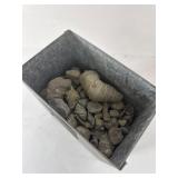 Galvanized Box With Fossil Rocks