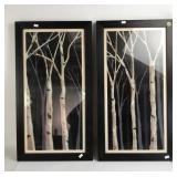 Pair Birch Tree Pictures