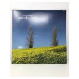 George Winston Winter Into Spring LP VG+