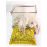 Glass Aquarium With Assorted Seashells