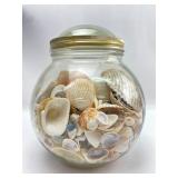 Glass Jar Of Seashells 9 Inches Tall