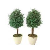 Pr. Faux Olive Topiary Trees in Distressed Pots