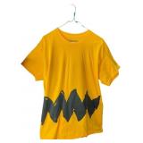 Peanuts Charlie Brown Zigzag Graphic T-Shirt