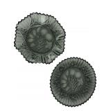 Pair of Smoked Pressed Glass Fruit Motif Bowls