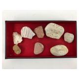 Assorted Fossil and Mineral Specimen Collection