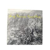 Jerry Harrison - Casual Gods - LP - VG+