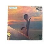 Pretty Things - Parachute - LP - VG