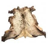 Approximately 56 X 46' Elk Hide