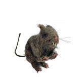 Handcrafted Mixed Media Rat Sculpture