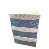 Set of 3 Blue and White Patterned Storage Boxes