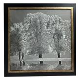 Framed Black and White Landscape Tree Photograph