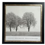 Ilona Wellmann Photography Framed Tree Print