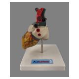 Alecardio Anatomical Heart Model on Stand