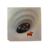 Robin Trower - Long Misty Days - LP - VG+