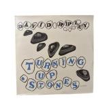 SEALED David Ripley - Turning Up Stones - LP - M