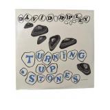 SEALED David Ripley - Turning Up Stones - LP - M