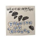 SEALED David Ripley - Turning Up Stones - LP - M