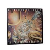 The Walter Murphy Band - A Fifth Of Beethoven - LP