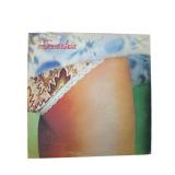 Flash - Flash - LP - VG+