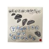 SEALED David Ripley - Turning Up Stones - LP - M