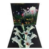 Pair of Floral Canvas Prints