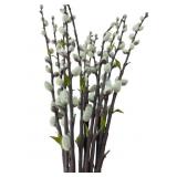 12 Artificial Pussy Willow Branches, 40"