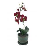 Target (Asia) Artificial Orchid Plant, 20"H