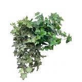 Artificial Ivy Plant in Woven Basket