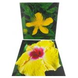 Pair of Floral Photographic Canvas Prints