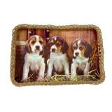 VTG Woven Tray with Beagle Puppy Image
