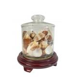 Glass Apothecary Jar of Seashells with Wood Stand