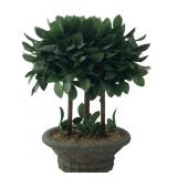 Faux Topiary Plant in Decorative Pot