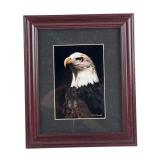Chet Dowell Bald Eagle Artwork, 10 x 12"