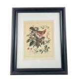 Arthur Singer Cardinal and State Flowers Print