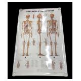Wolters Kluwer The Skeletal System Anatomical Char