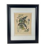 Arthur Singer Mockingbird Lithograph