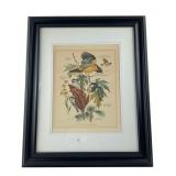 Arthur Singer Signed State Birds and Flowers Print