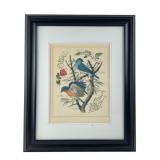 Arthur Singer State Birds and Flowers Print
