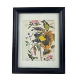 Arthur Singer State Birds and Flowers Print