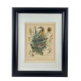 Arthur Singer Western Meadowlark Lithograph