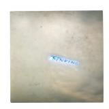 Senking - Ping - 12" Vinyl EP - VG+