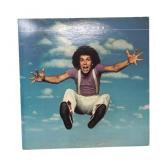 Leo Sayer - Endless Flight - LP - VG+