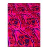 Psychedelic Floral Print Fabric